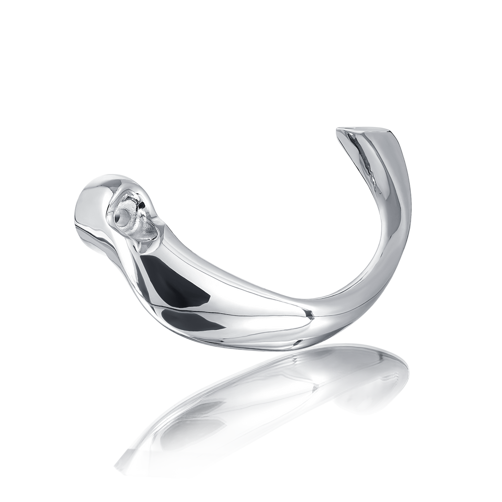 'Coru' Chrom Brake Lever Guard View 1