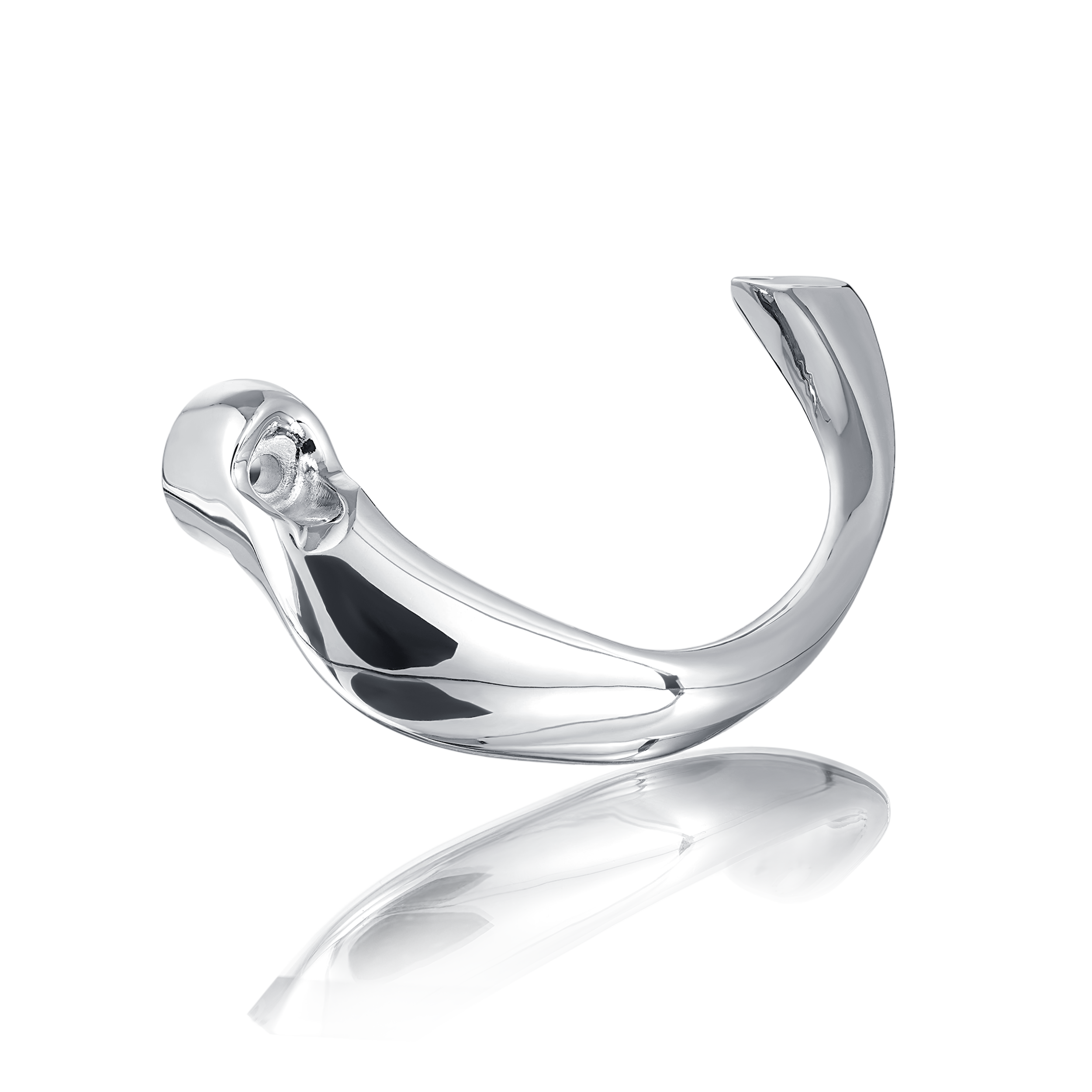 'Coru' Chrom Brake Lever Guard View 1